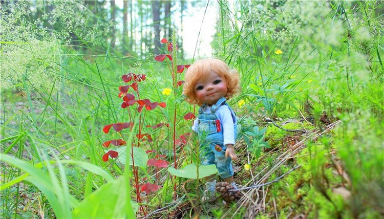 Путешествие Эли на красивый берег реки Волги