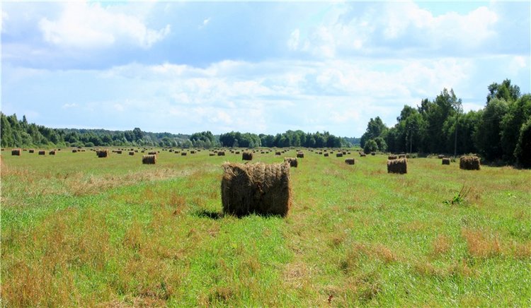 Деревенский "Треугольник" | Бэйбики Деревенский "Треугольник"