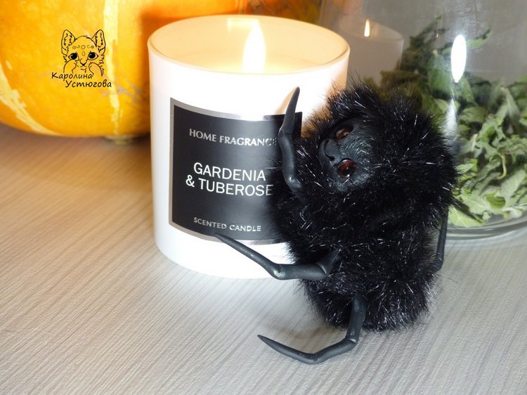 Halloween и маленькие паучки