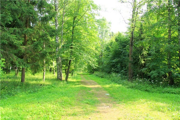 Путешествие Виолы в Усадьбу Знаменское-Раёк (фото 5)