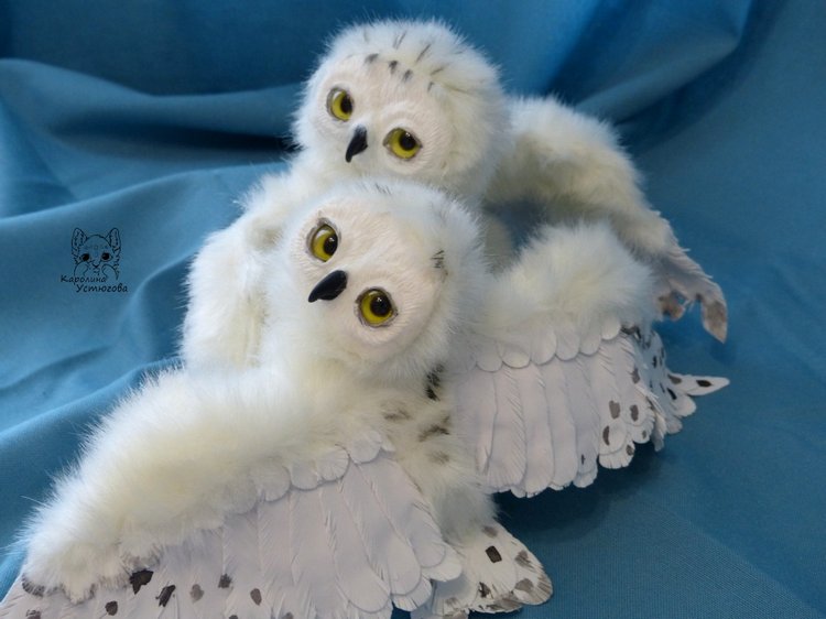 Полярные совы. Стремящиеся в полет (фото 8)