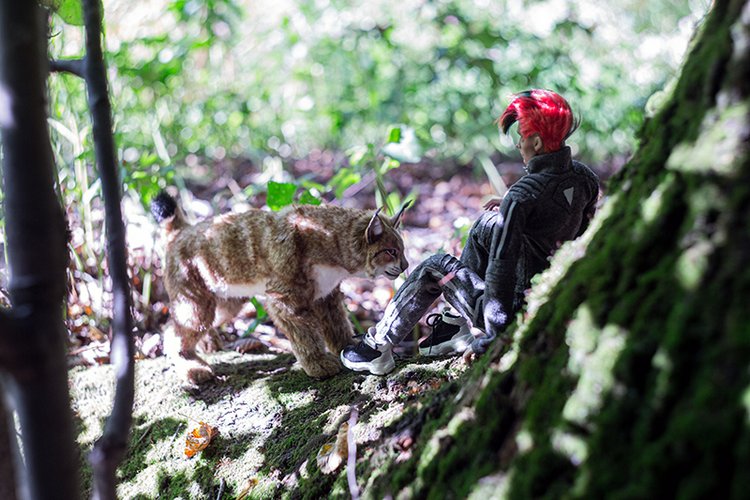 Что скрывают тени | Бэйбики Что скрывают тени — Фотоистории с куклами BJD (БЖД): сериалы (фото 4)