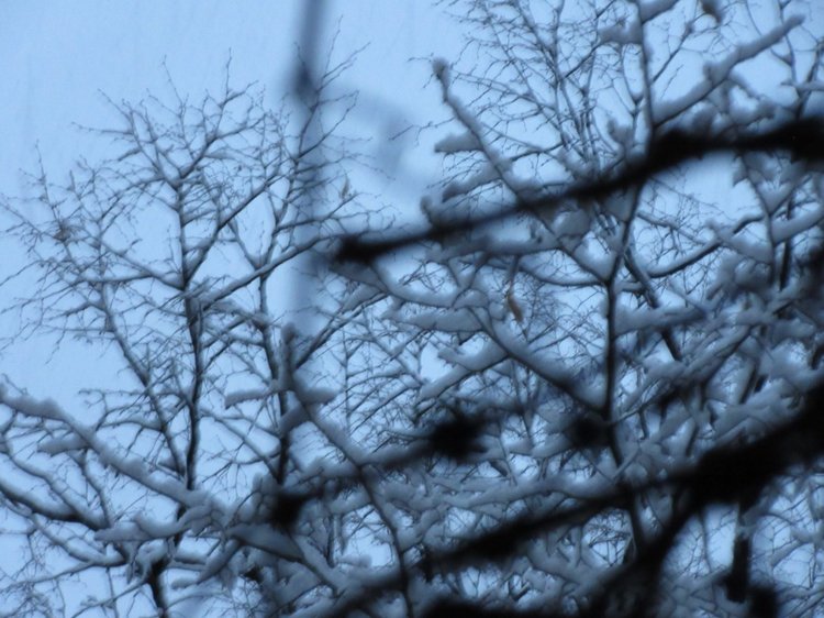 Король зимы — Разные шарнирные куклы (не БЖД): редкие (фото 8)