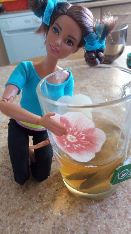 Барби-йога, здоровый образ жизни