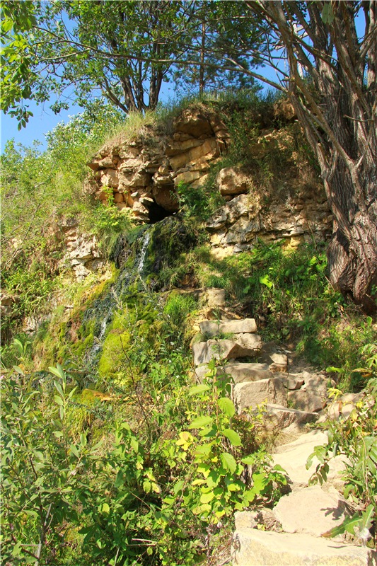 Инопланетянка Нийя. Custom Blythe Doll UFO Go Go Takara