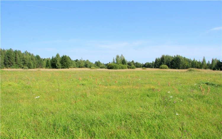 Инопланетянка Нийя. Custom Blythe Doll UFO Go Go Takara