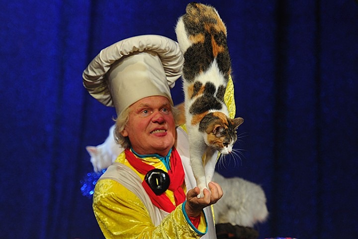 Молодое поколение клоунят или детки Дианы Эффнер