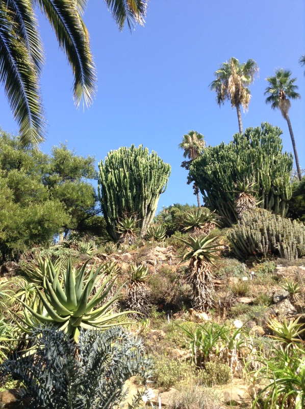 Путешествие Минуш в Испанию. Каталония. Ч.3. Райские сады (фото 7)