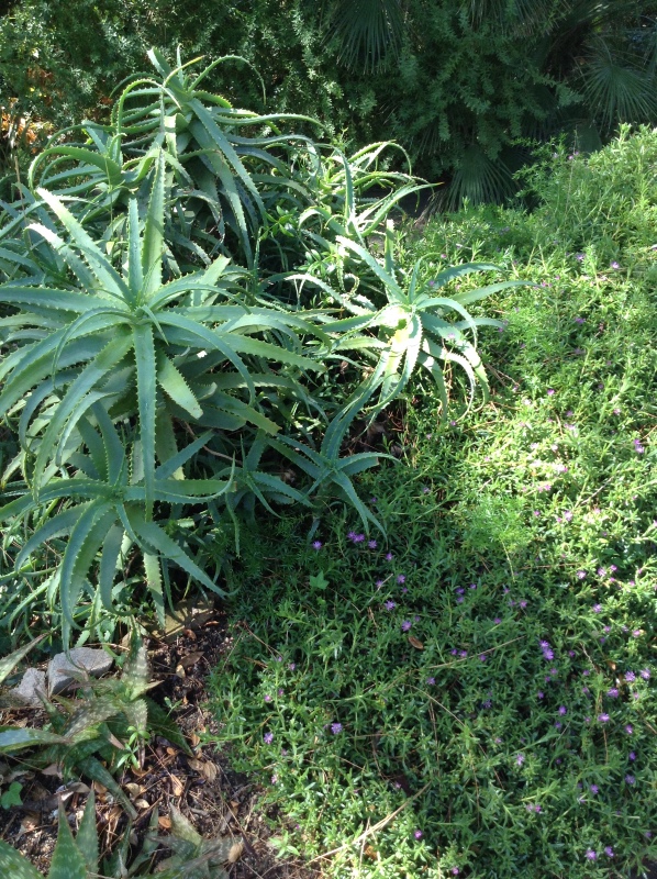 Путешествие Минуш в Испанию. Каталония. Ч.3. Райские сады