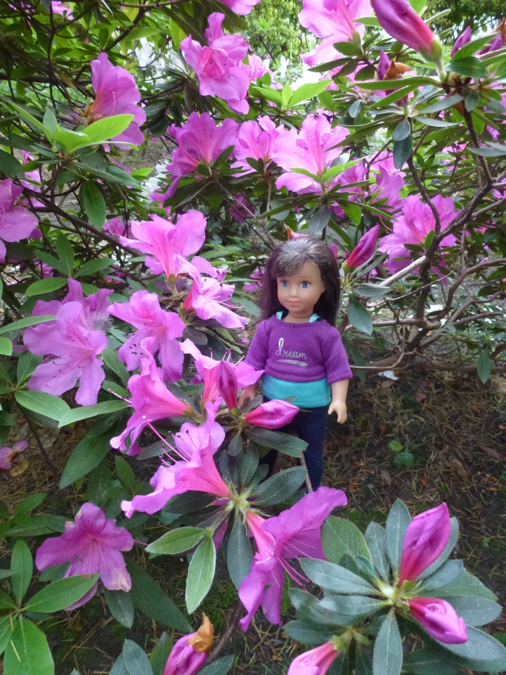 Сочи-Адлер: Южное Взморье - Мои любимые куколки на отдыхе