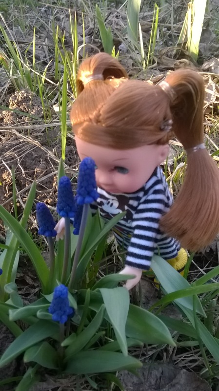 Галинка с Полинкой во саду ли в огороде (фото 2)