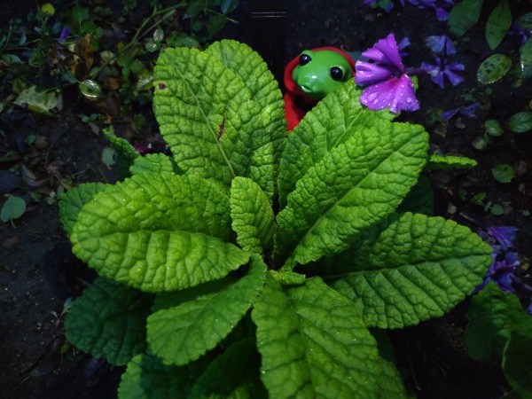 Лето с лягушками — Коллекционные куклы разных авторов (Разное): редкие бренды