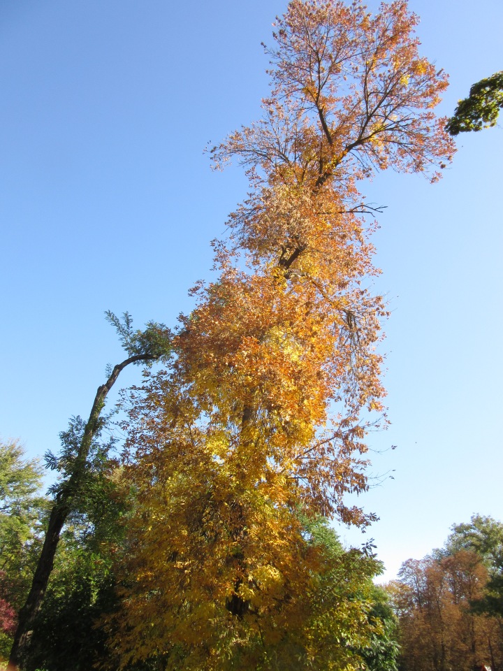 Выходной с Хеленой в Таганроге