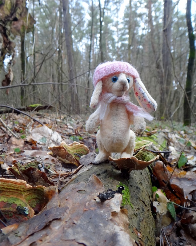 23 февраля - расцвели синие подснежники