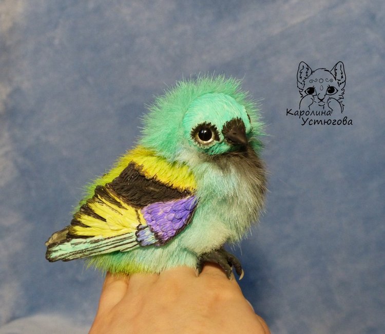 Зеленоголовая танагра, чудо птичка