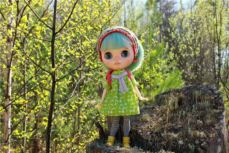 Долгая дорога к Волге. Custom Blythe Doll UFO Go Go Takara (фото 7)
