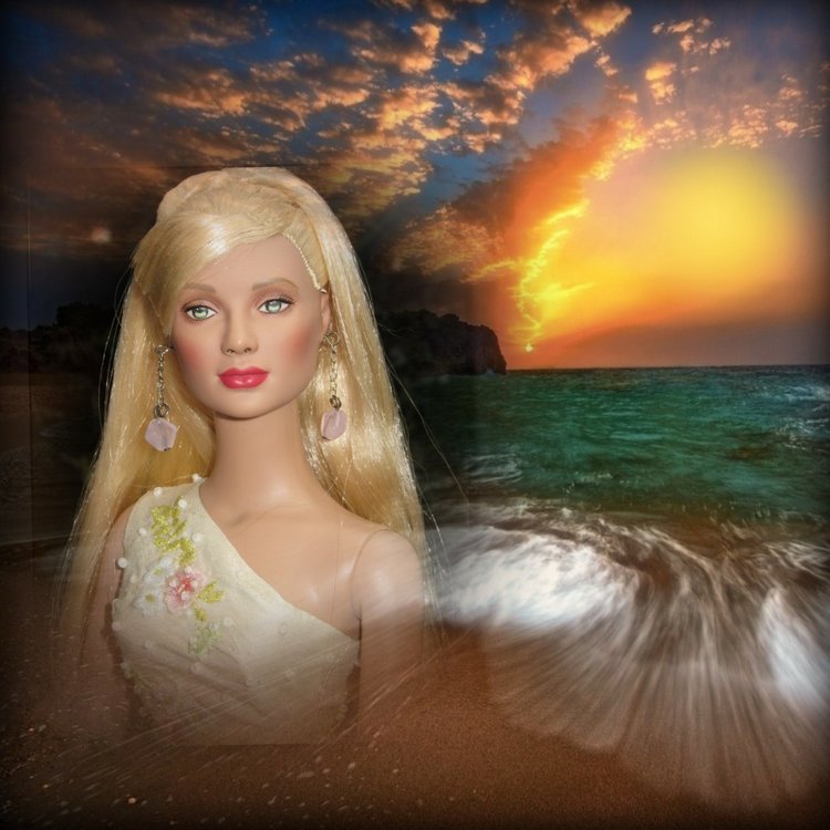 Мои Тоннерки. Фотозарисовки