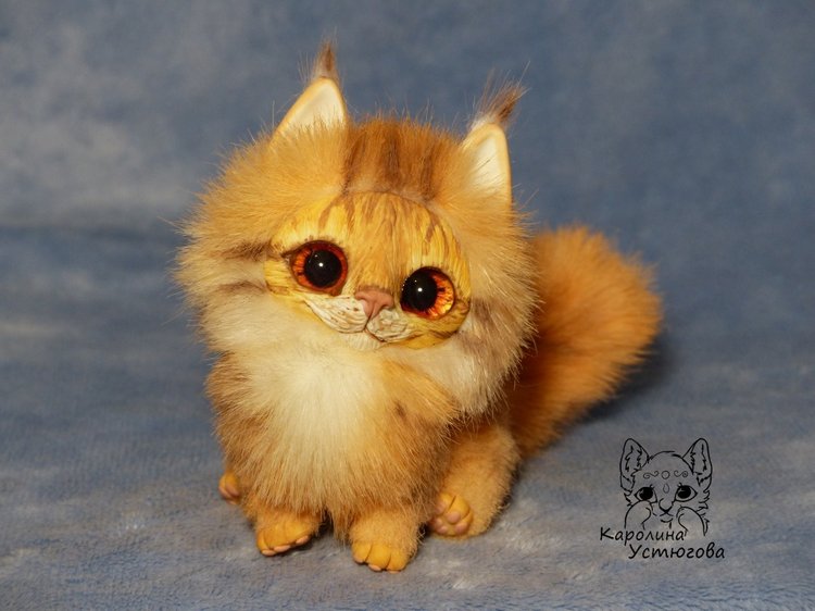 Карманный котеночек породы: Мейн-Кун (фото 6)
