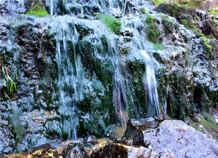 Братья Зайкины на Водопаде (фото 6)