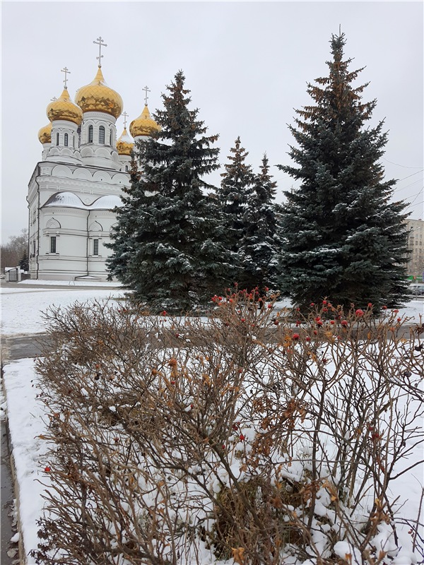 Город, в котором я живу — Туризм и путешествия: фотоотчеты из поездок (фото 2)