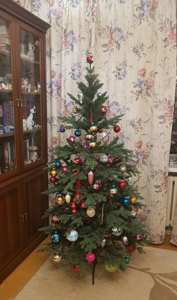 Майя и ёлочка №2 — Куклы с Алиэкспресс (Aliexpress): Китайские шарнирные