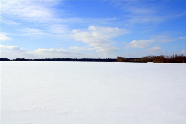 Зимняя прогулка Сони. Уникальная кукла от Сильвии Наттерер (фото 2)