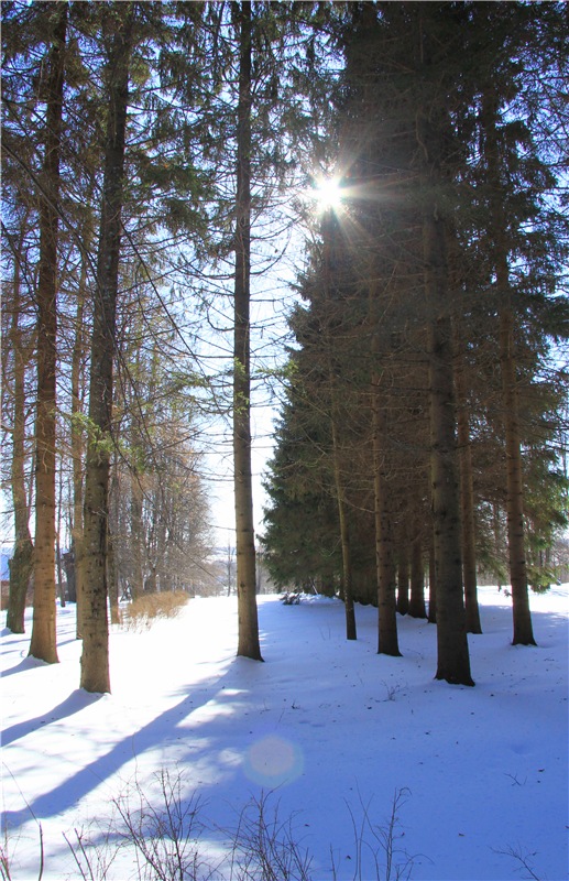 Снежный Март — Туризм и путешествия: фотоотчеты из поездок