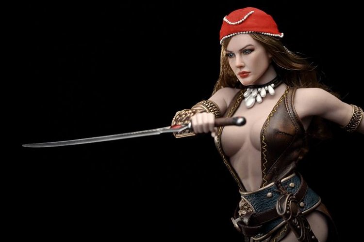 Анонс очередной новинки от Phicen - Arhian Pirate. Скоро встречаем (фото 9)