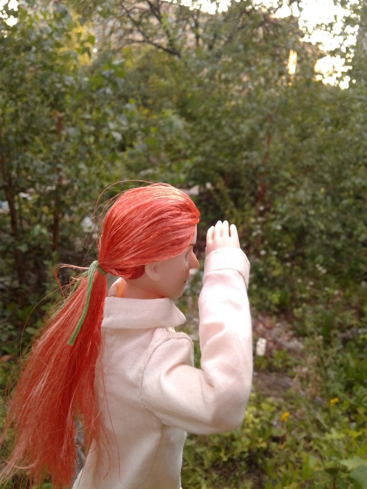 Кто же там, в малиннике — Куклы и тела Obitsu (Обитсу): 1/6