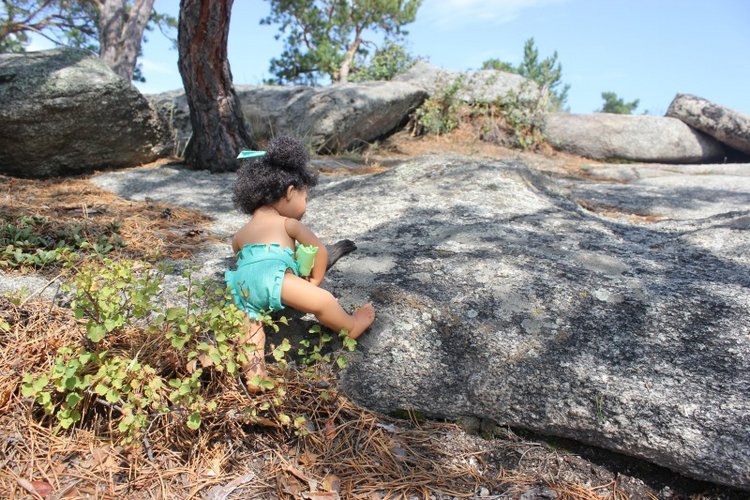 Базовичок обыкновенный. Дикий, но симпатичный | Бэйбики Базовичок обыкновенный. Дикий, но симпатичный