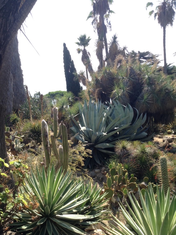 Путешествие Минуш в Испанию. Каталония. Ч.3. Райские сады