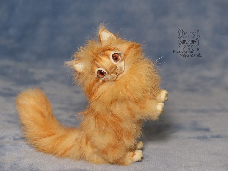 Мейн-ку́н, миниатюра. Рыженький