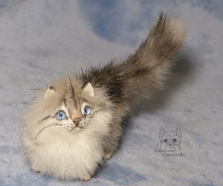 Котята Невские маскарадные, окрас Тэбби пойнт