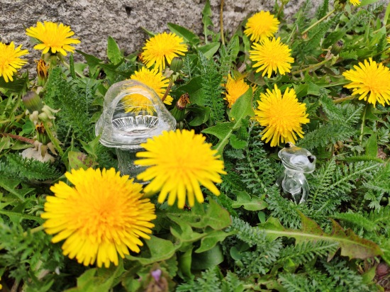 Найди меня, если сможешь — Фигурки Studio