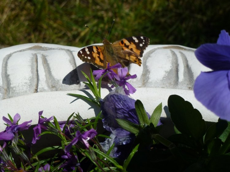 Сочи-Адлер: Южное Взморье - Мои любимые куколки на отдыхе