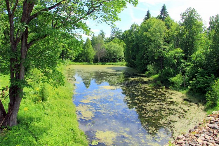 "Троицкие гуляния" в Василёво, 2018 год. Архитектурно-этнографический музей под открытым небом Василёво