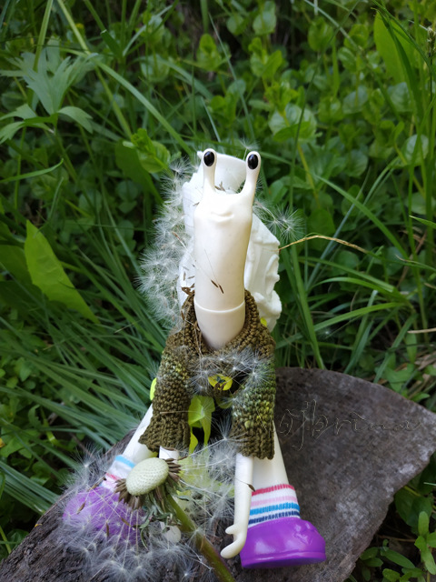 Wonderfrog. Красота в простоте