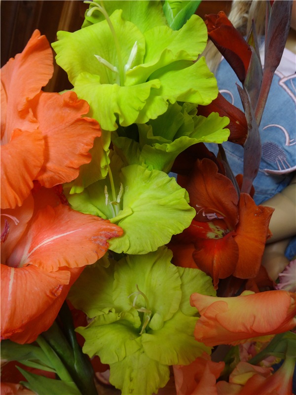 Как мы делали лечо или куклы на кухне