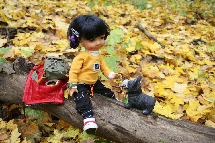 Осень и Бейли — Куклы Meadow dolls (Медовушки): BJD (БЖД) (фото 8)