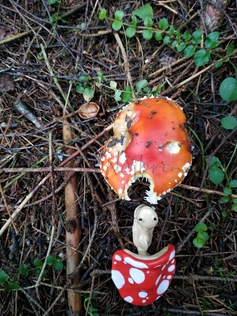 Wonderfrog. Красота в простоте. Часть 2