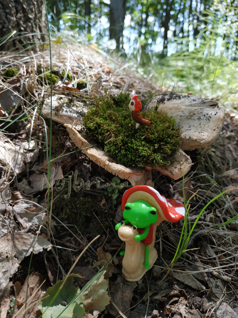 Wonderfrog. Красота в простоте. Часть 2