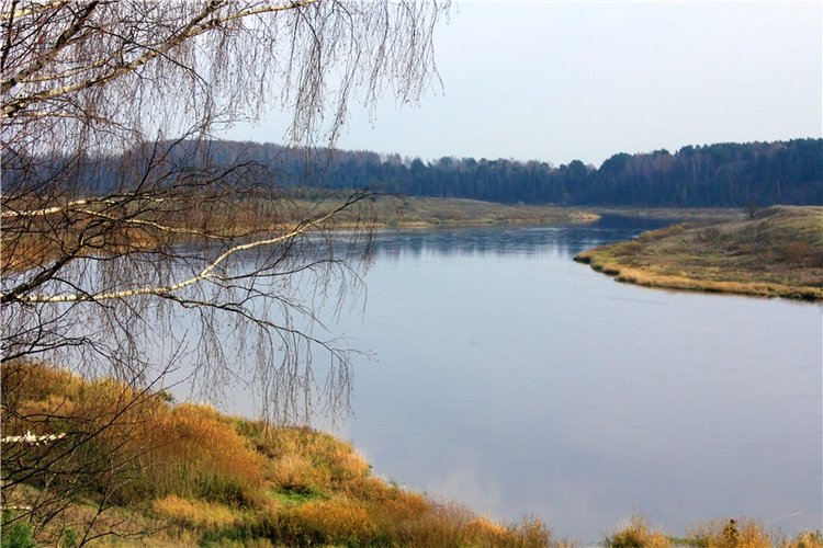 Гришутка — Винтажные куклы ГДР (Немки): Бигги