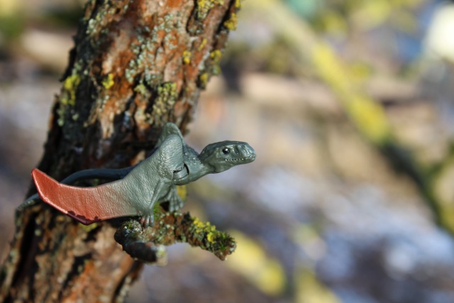 Вы коллекционируете динозавров (фото 7)