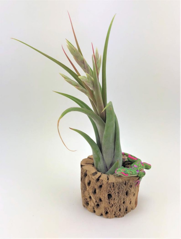 Sandysmallwonder - Авторские скульптуры из полимерной глины by Sandy Lehman - ч.1