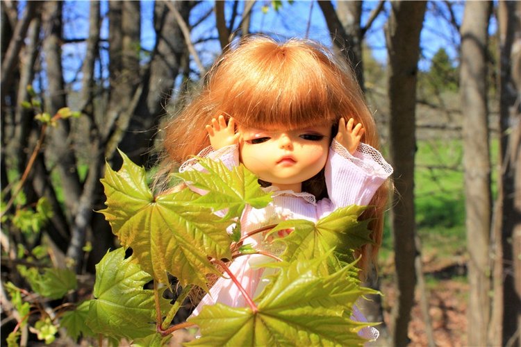 Путешествие Софи в Старицу, продолжение. Lati HoneyBee New Mystic Sophie