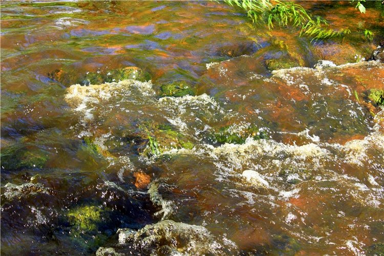 Затерянный Мир — Красивая природа и цветы: фото пейзажей (фото 9)