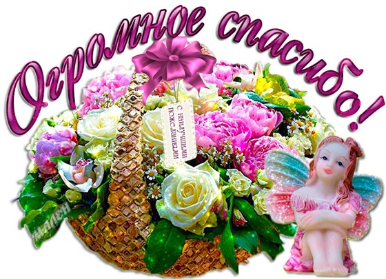 По следам АВГУСТФЕСТА - наша благодарность феечкам