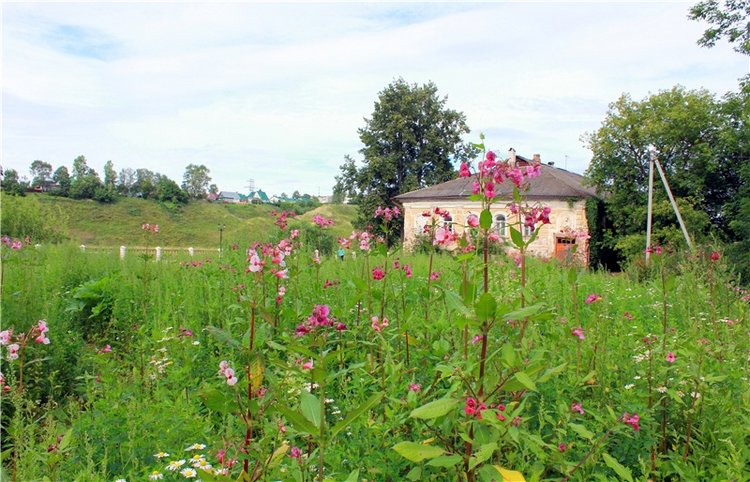 Июльское путешествие в Старицу, продолжение