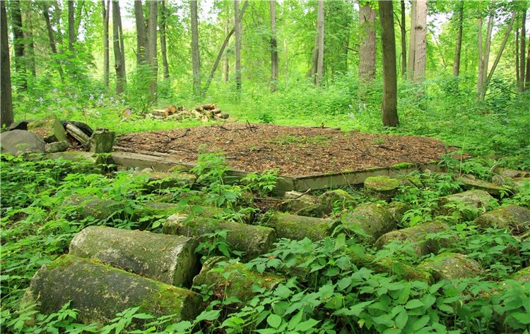 Путешествие Виолы в Усадьбу Знаменское-Раёк