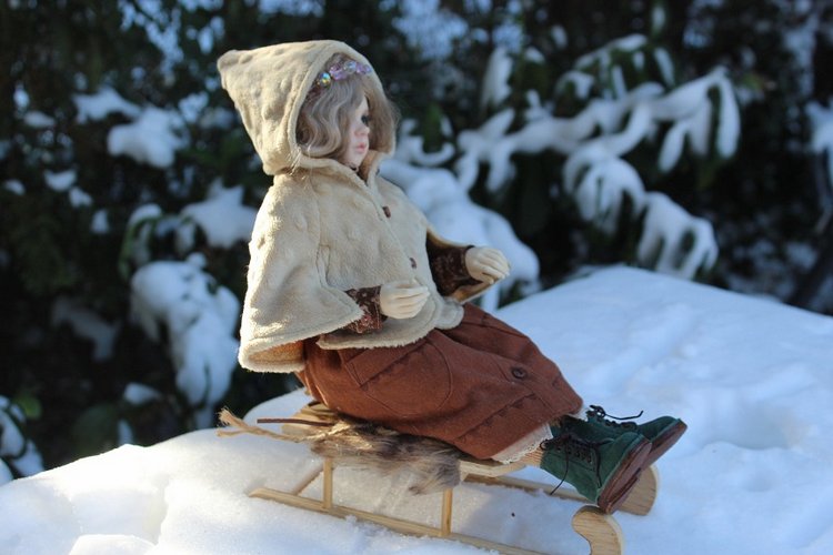 Розочка на снегу — Куклы Dollshe Craft (Доллше): BJD (БЖД)